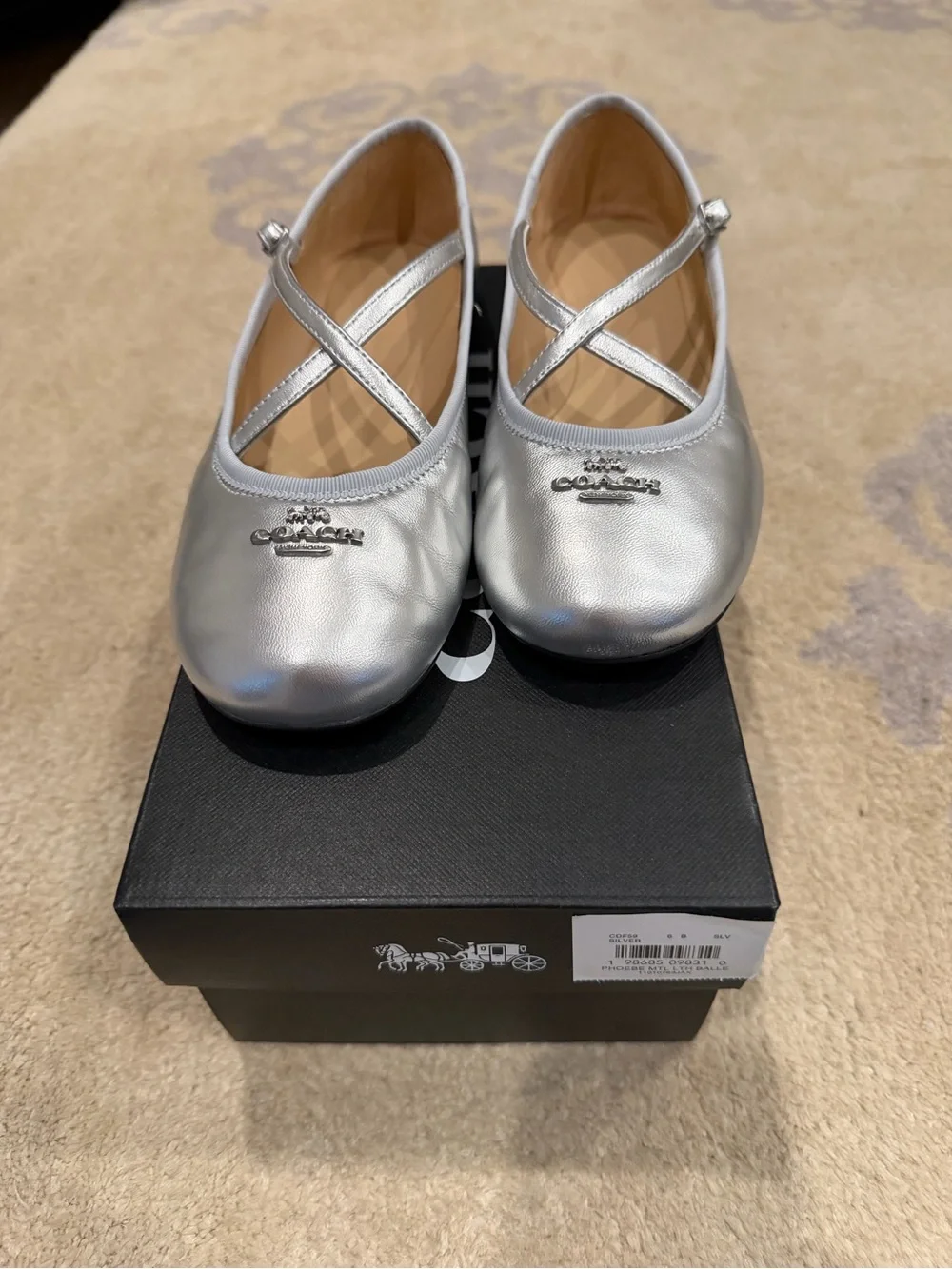 Coach Phoebe Silver Ballet Flats